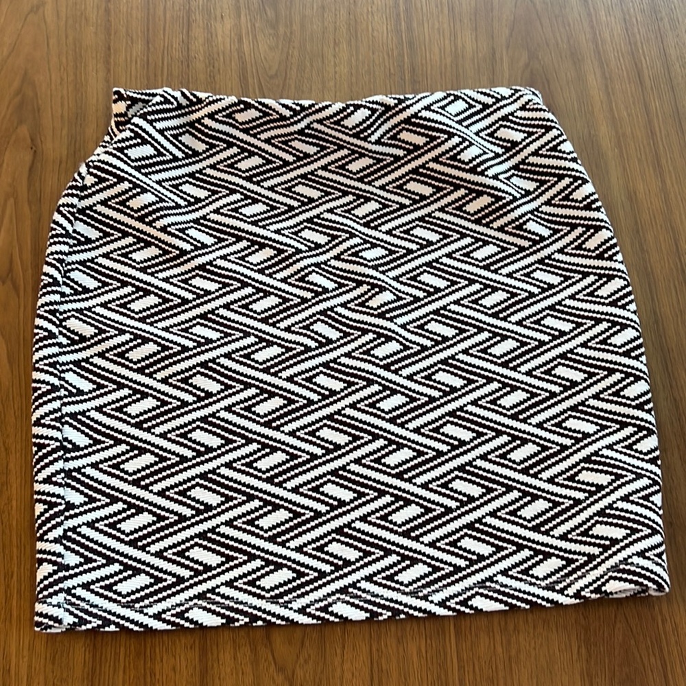 Beautiful Zara skirt size small